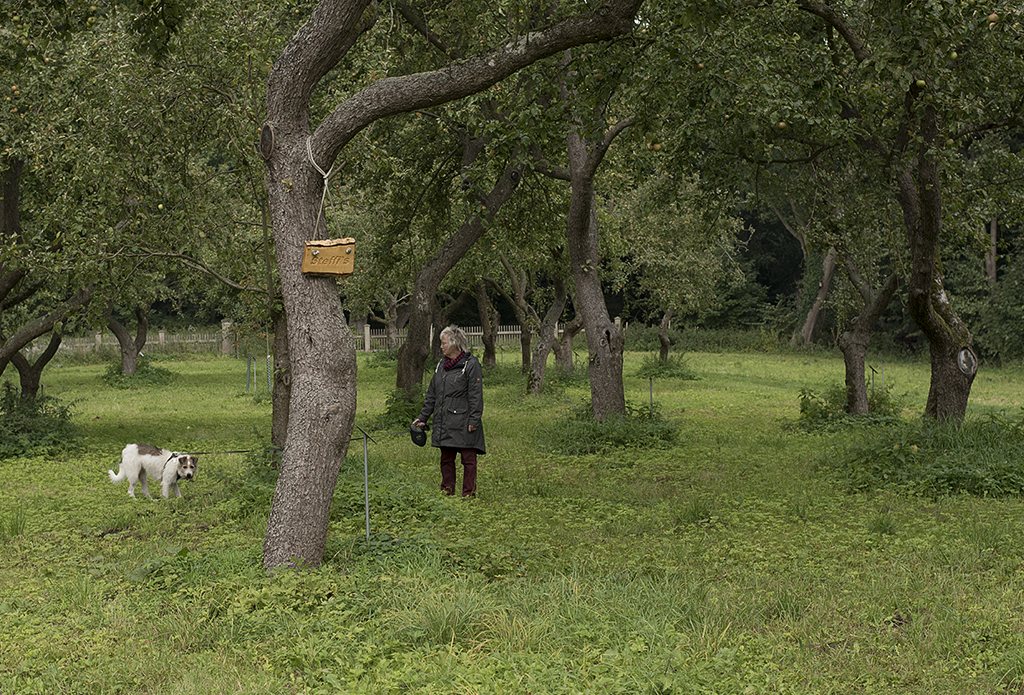 Schleswig Holstein Ostsee 09_2015 KA7_6511 als Smartobjekt-1 Kopie.jpg - Mit sehr vielen meist unbekannten Apfelsorten 